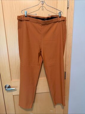 Violets & Roses Rust-Orange Straight Leg Pants (22W)